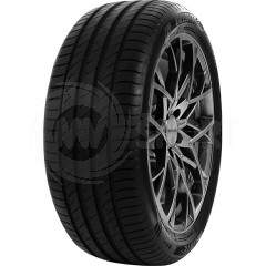 205/60 VR16 TL 92V  DELINTE DS2